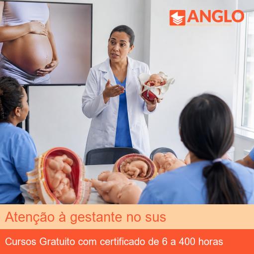 Atenção à gestante no sus